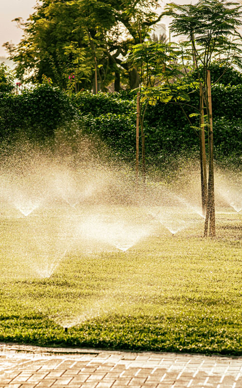 Photo of a sprinkler head spraying water